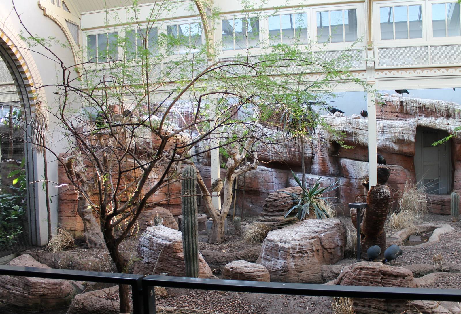 Desert-section Bird-house