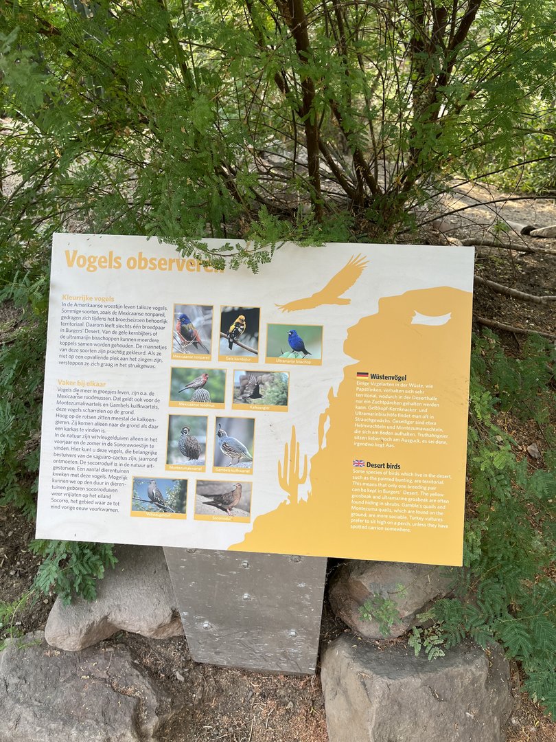 Desert- Signage of birds in it 6.7.23