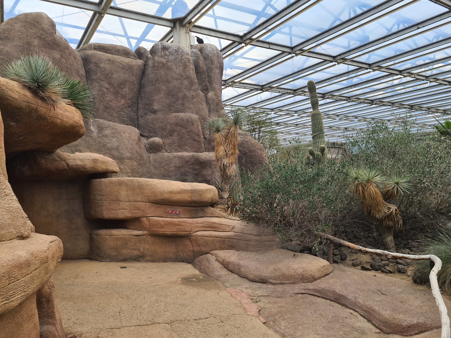 Desert - Smaller mesa rock and cave