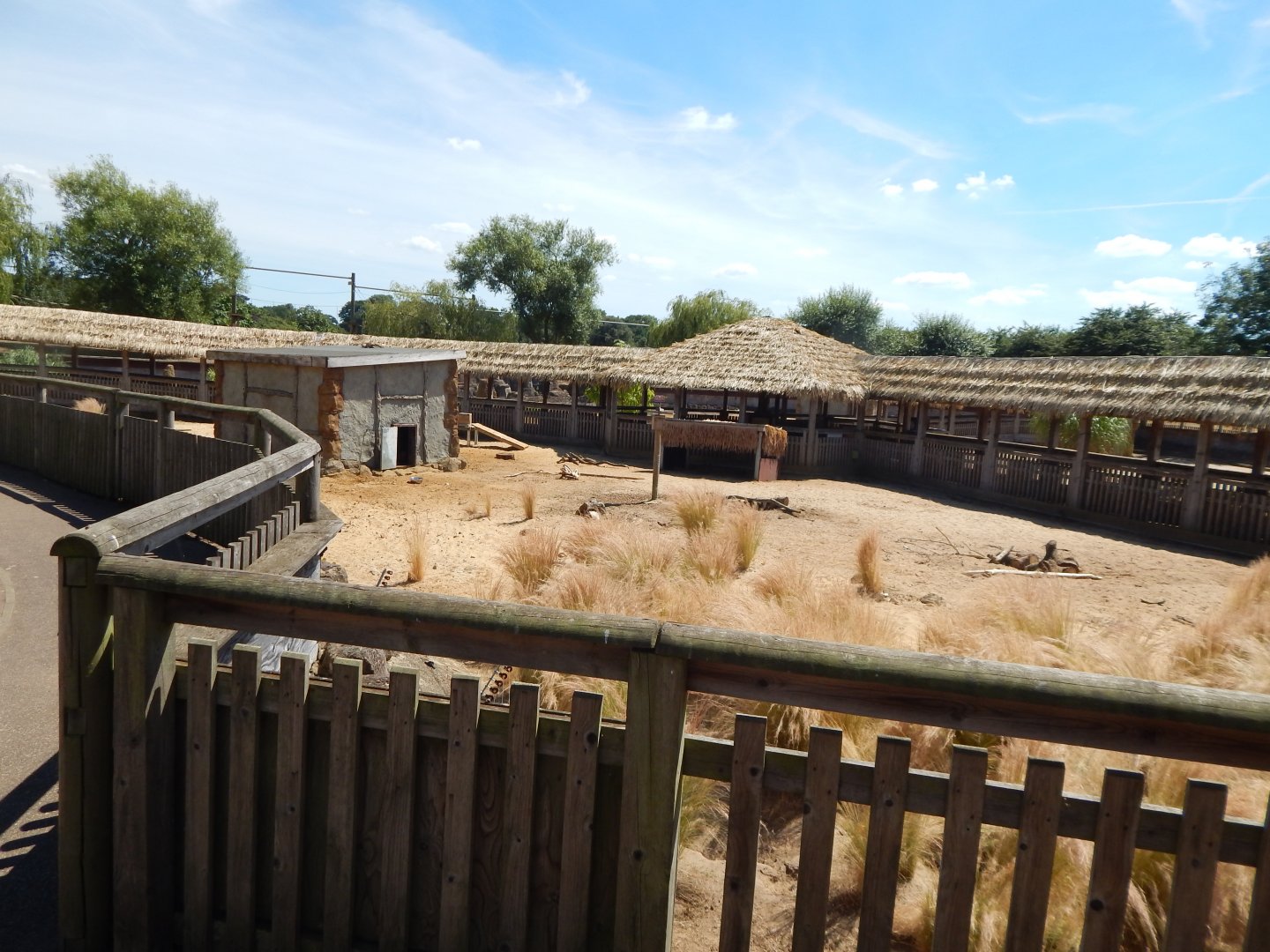 Desert Springs 110722