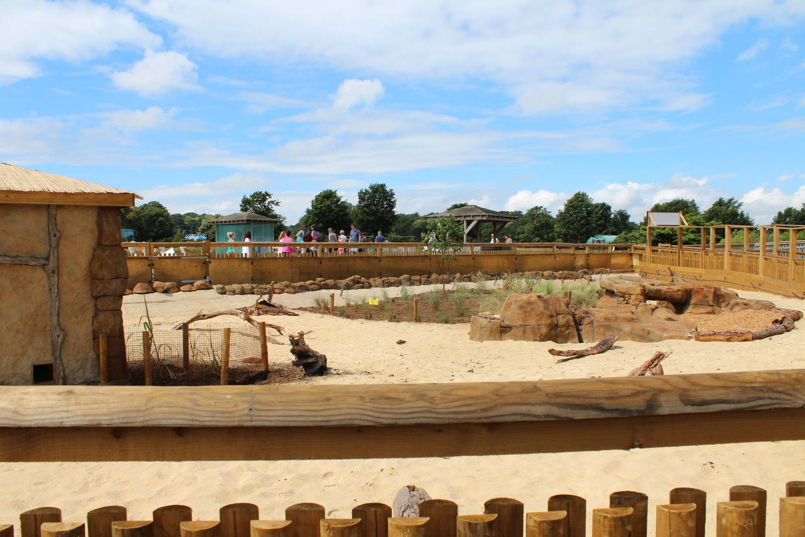 Desert Springs - Completed Yellow Mongoose exhibit