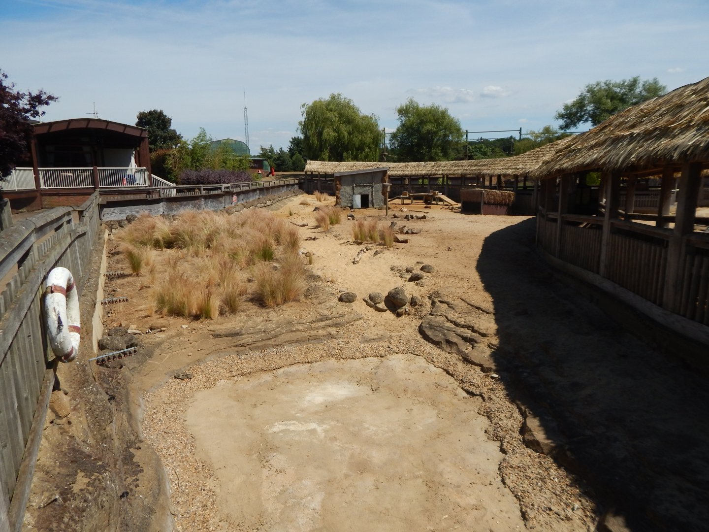 Desert Springs - Crested porcupine exhibit 110722