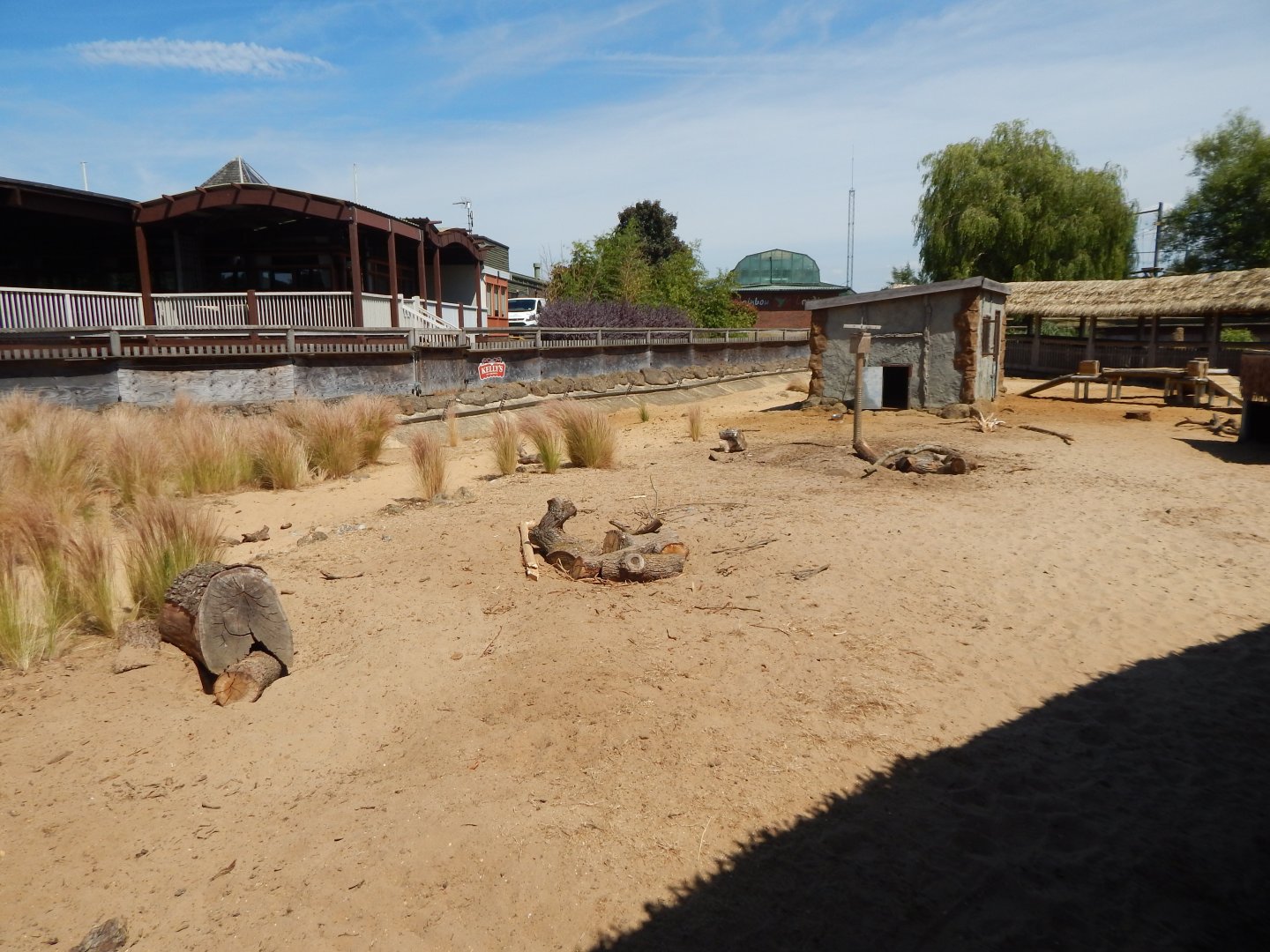 Desert Springs - Crested porcupine exhibit 110722