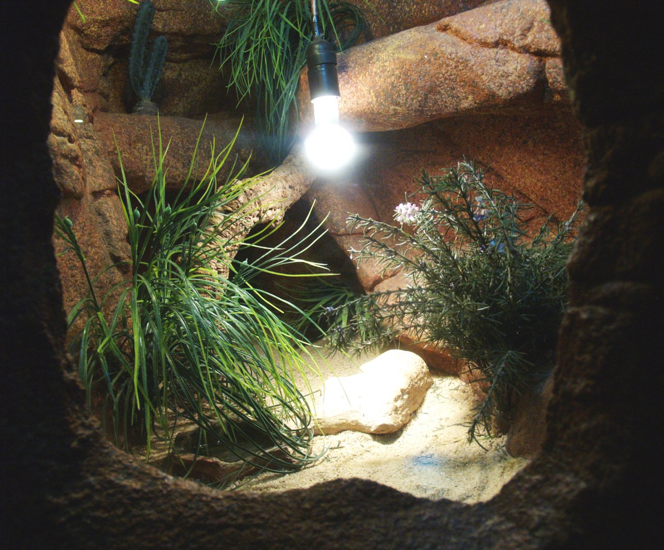 Desert terrarium, 2014-02-16