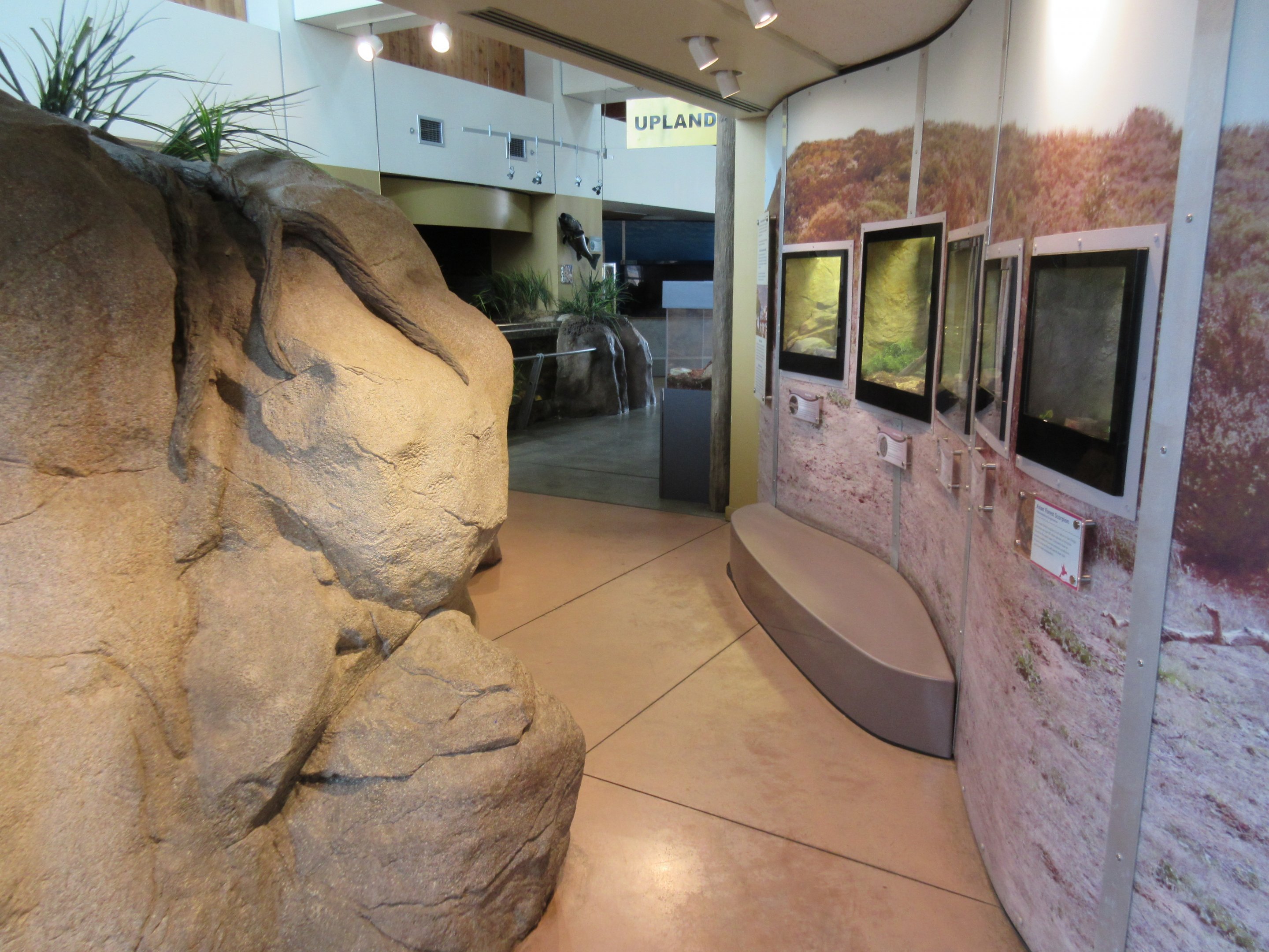 Desert-Themed Terrariums