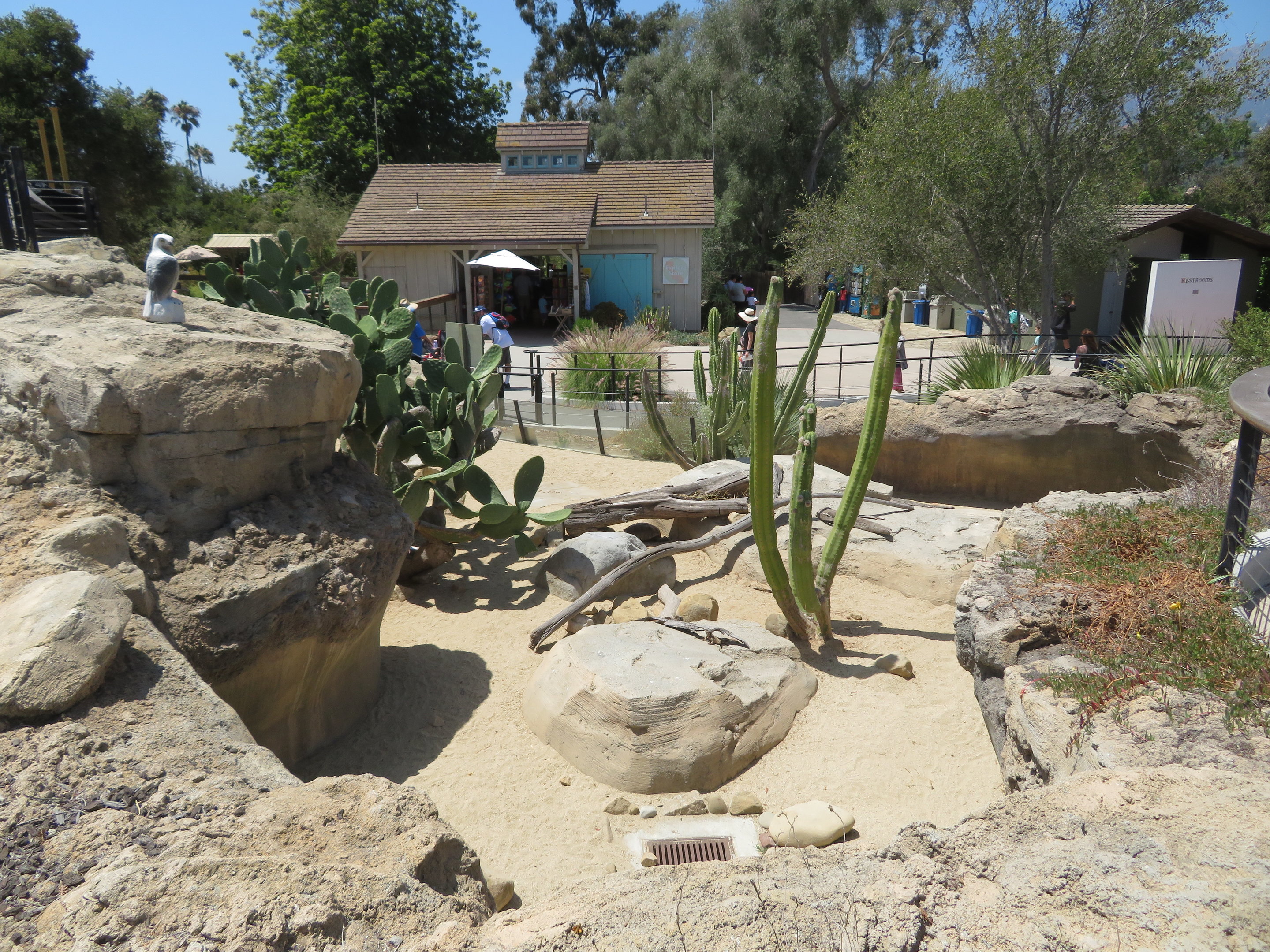 Desert Tortoise/Chuckwalla Exhibit