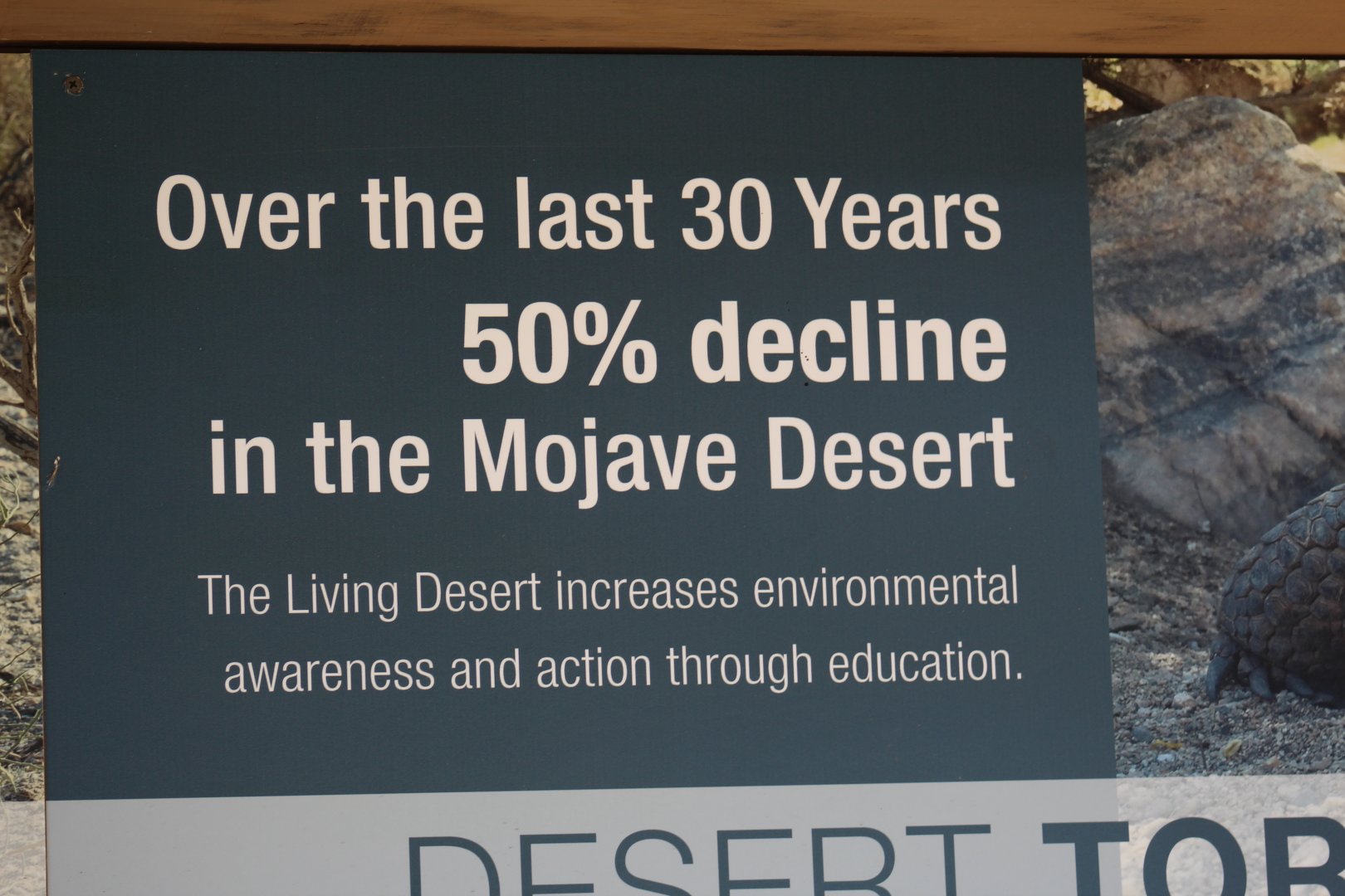 Desert Tortoise Conservation Signage