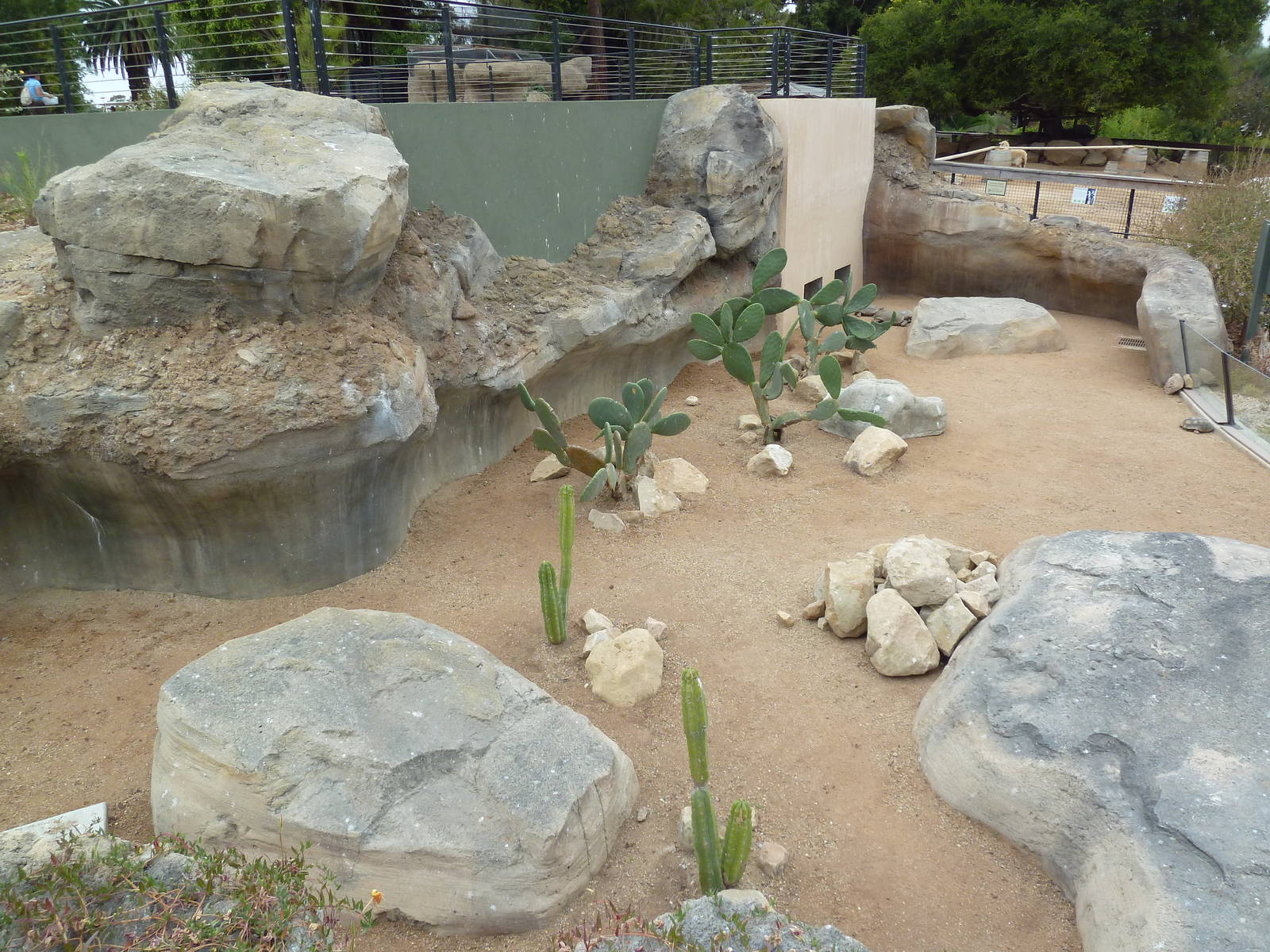 Desert Tortoise Exhibit