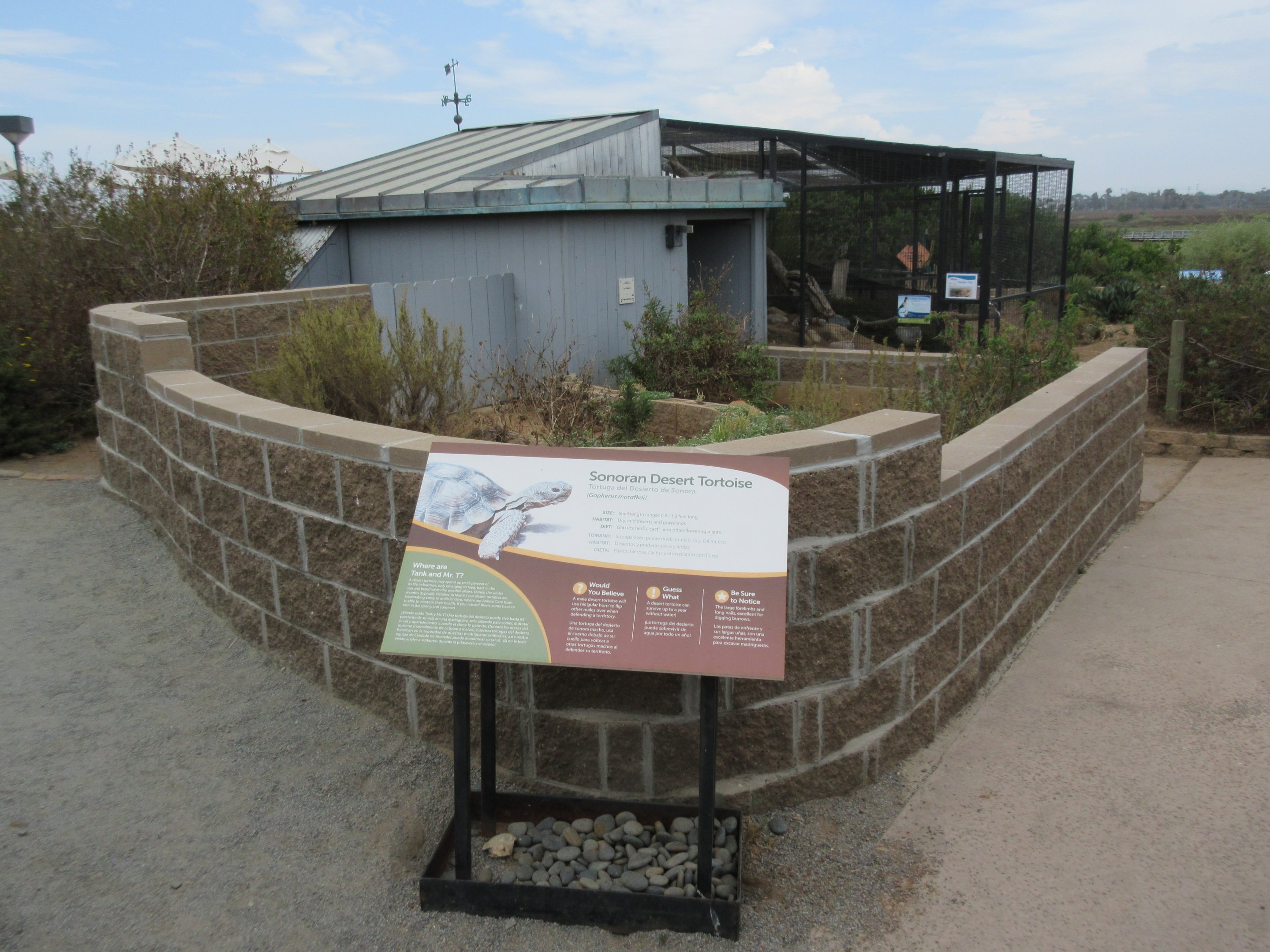 Desert Tortoise Exhibit
