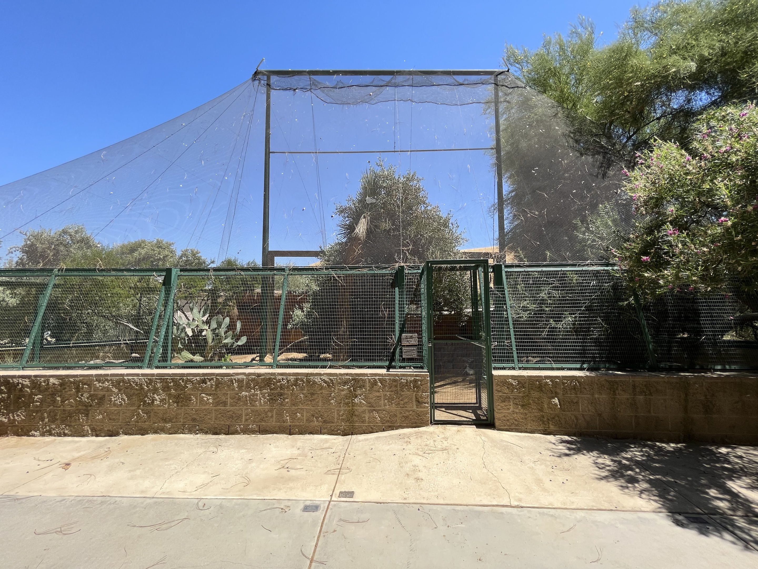 Desert Tortoise Exhibit