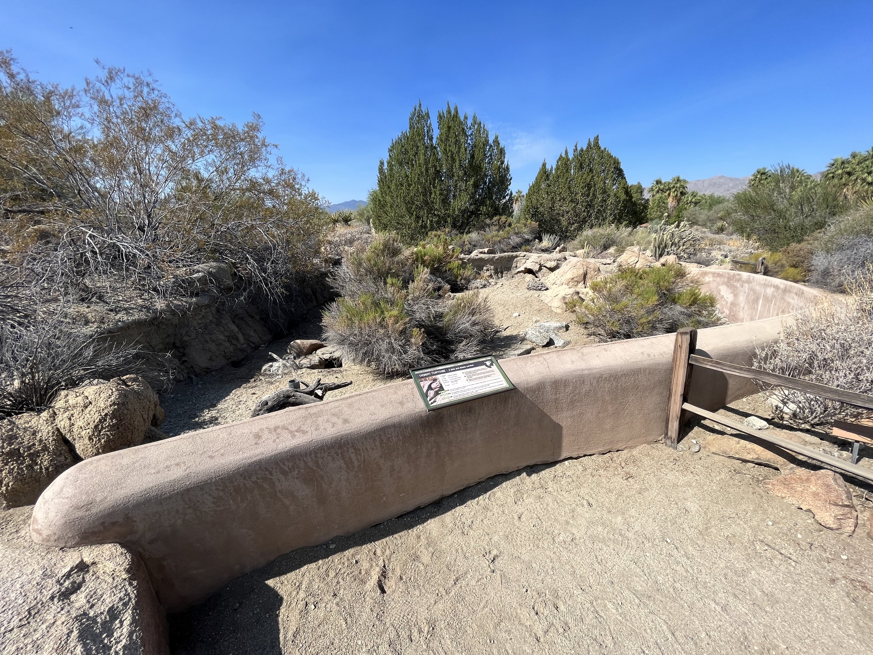 Desert Tortoise Exhibit