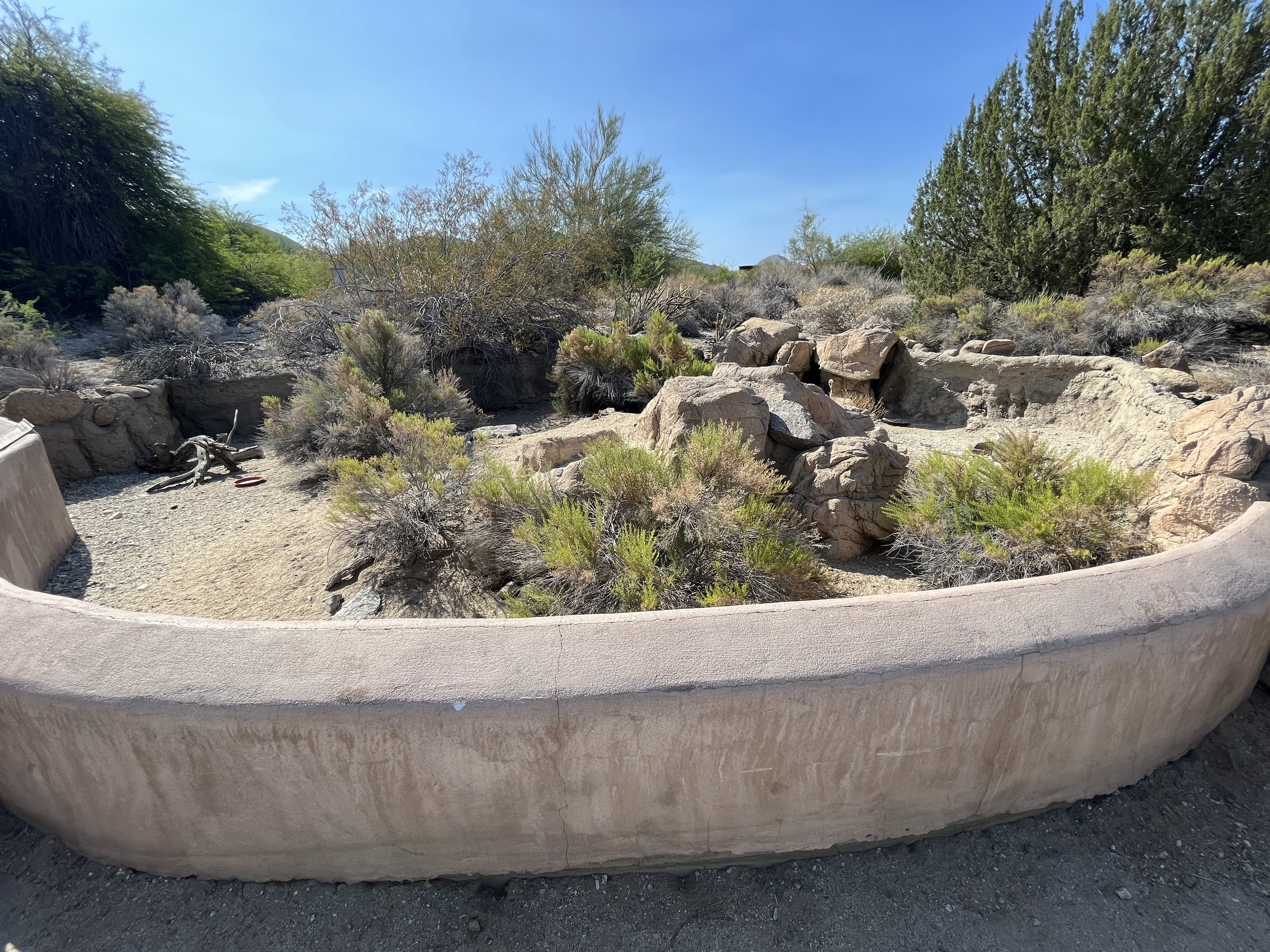 Desert Tortoise Exhibit