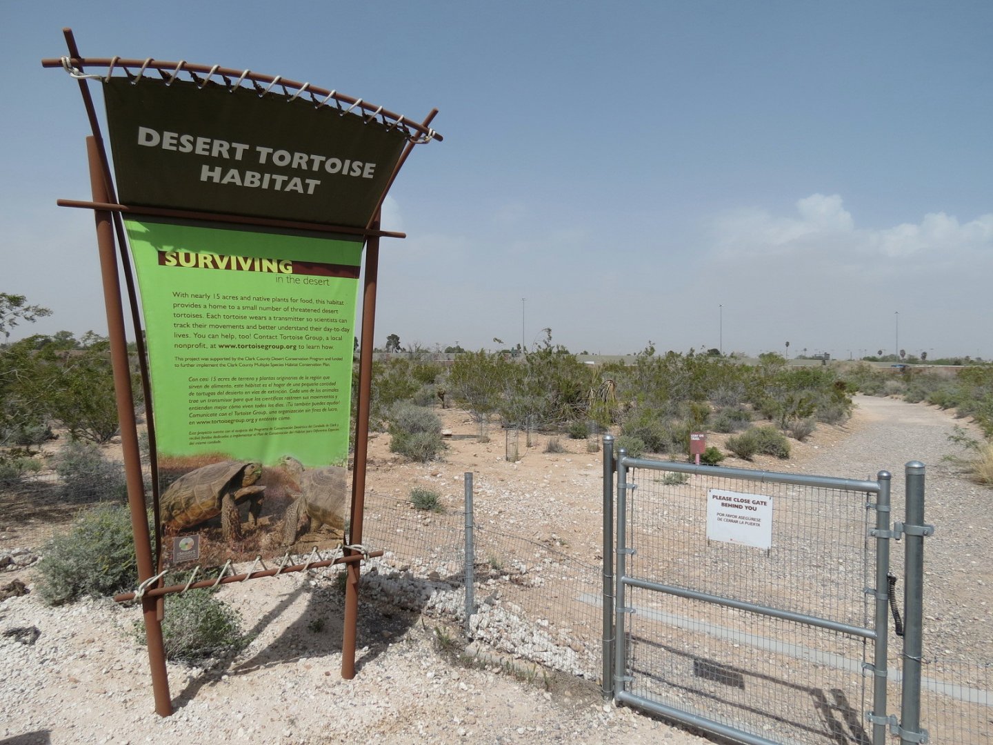 Desert Tortoise Habitat
