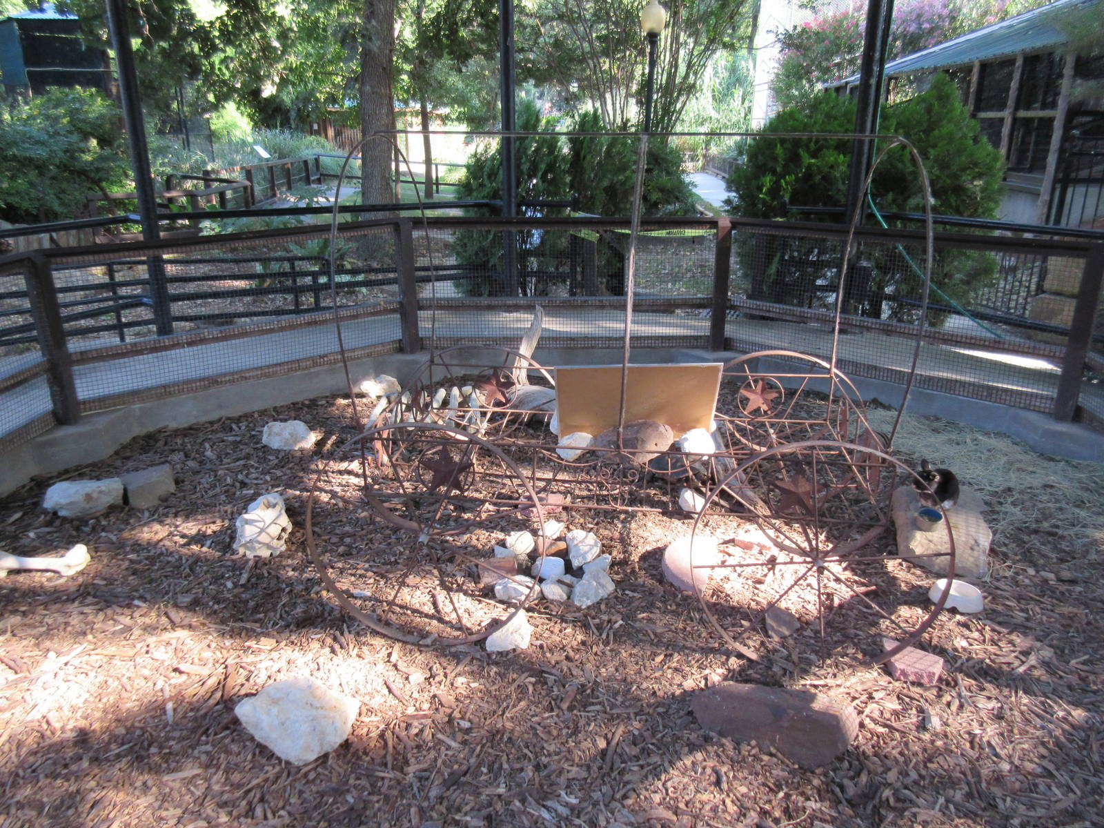 Desert Tortoise/Rabbit Exhibit