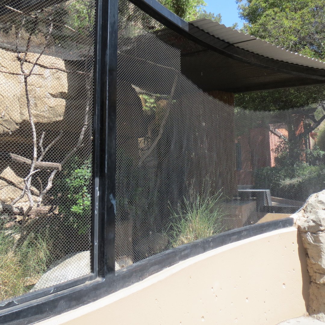 Desert Trail - Red Billed Blue Magpie Exhibit