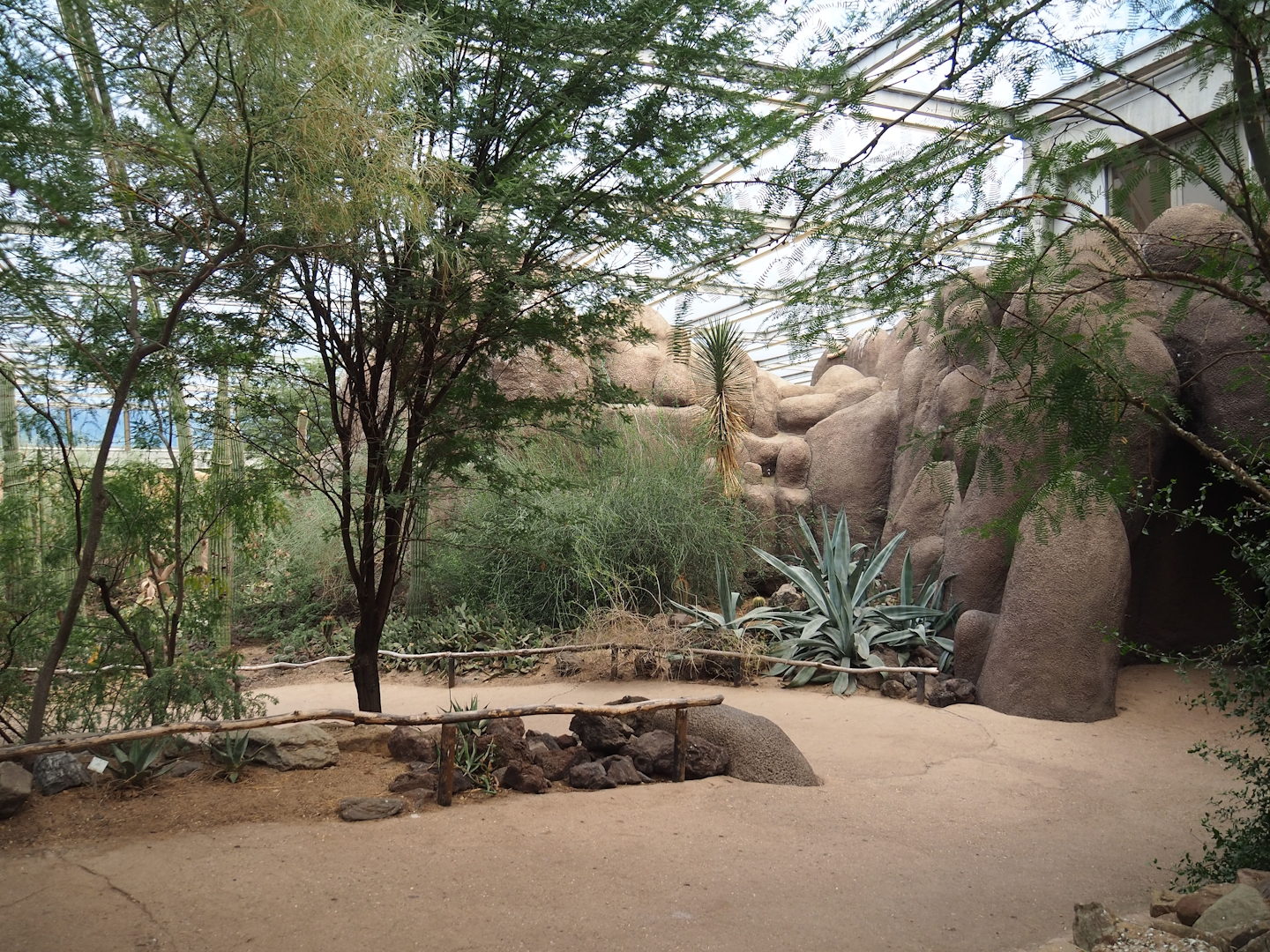 Desert - View of walkways and landscaping, 2023-10-07