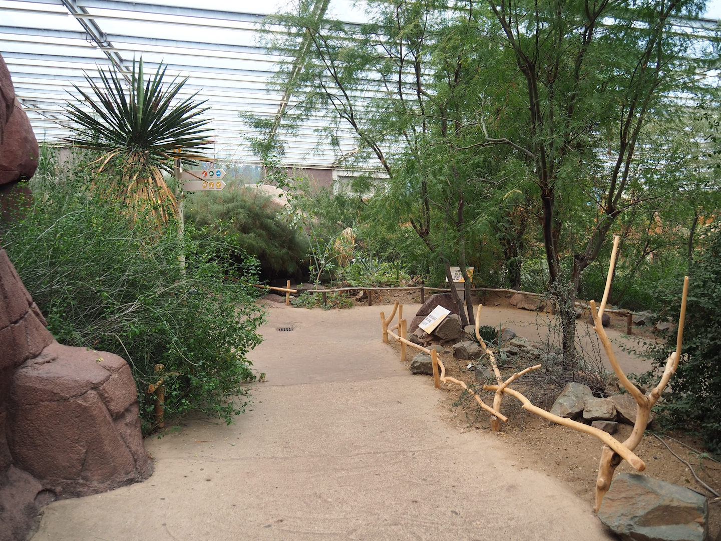 Desert - View of walkways and landscaping upon entry from the Rimba area, 2023-10-07