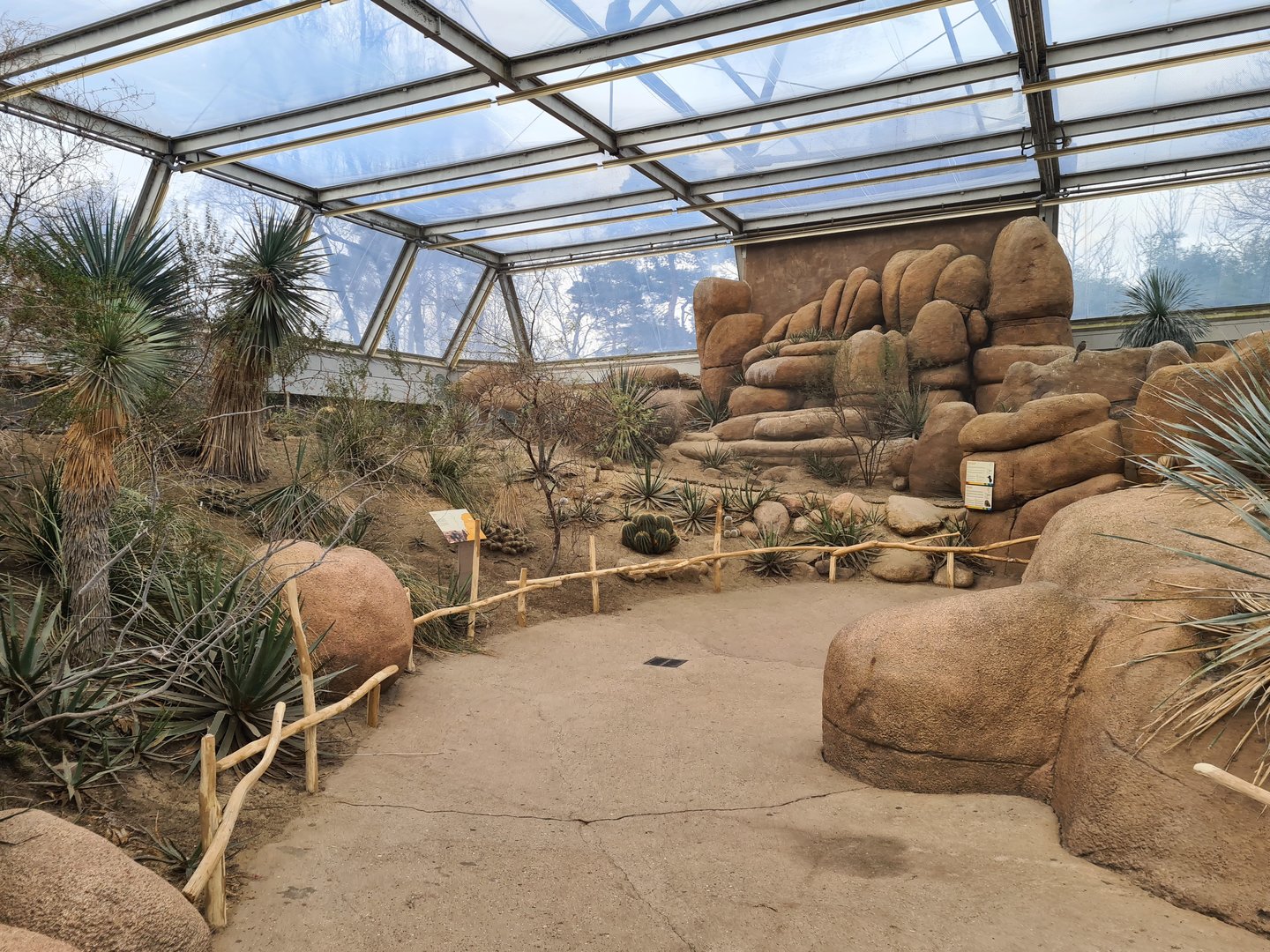 Desert - View towards Roadrunner aviary