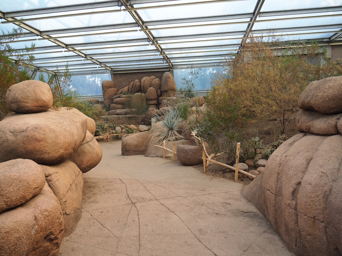 Desert - Walkway and landscaping with Burrowing owl and Greater roadrunner aviary in the background, 2023-10-07