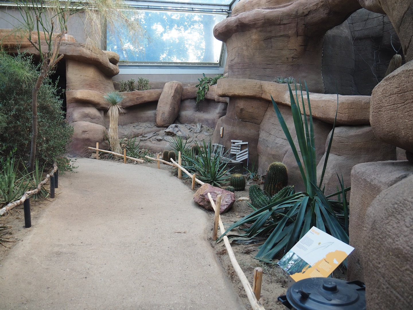 Desert - Walkway, Exterior of Canyon aviary and fossil dig site theming, 2023-10-07