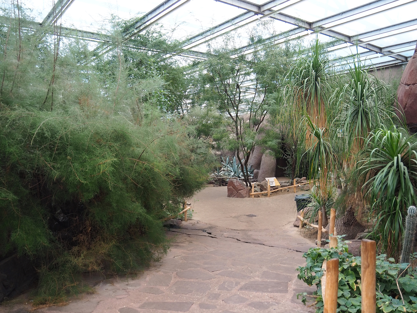 Desert - Walkways and landscaping, 2023-10-07