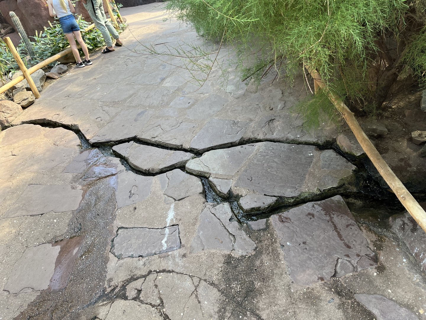 Desert- water flowing through path 6.7.23