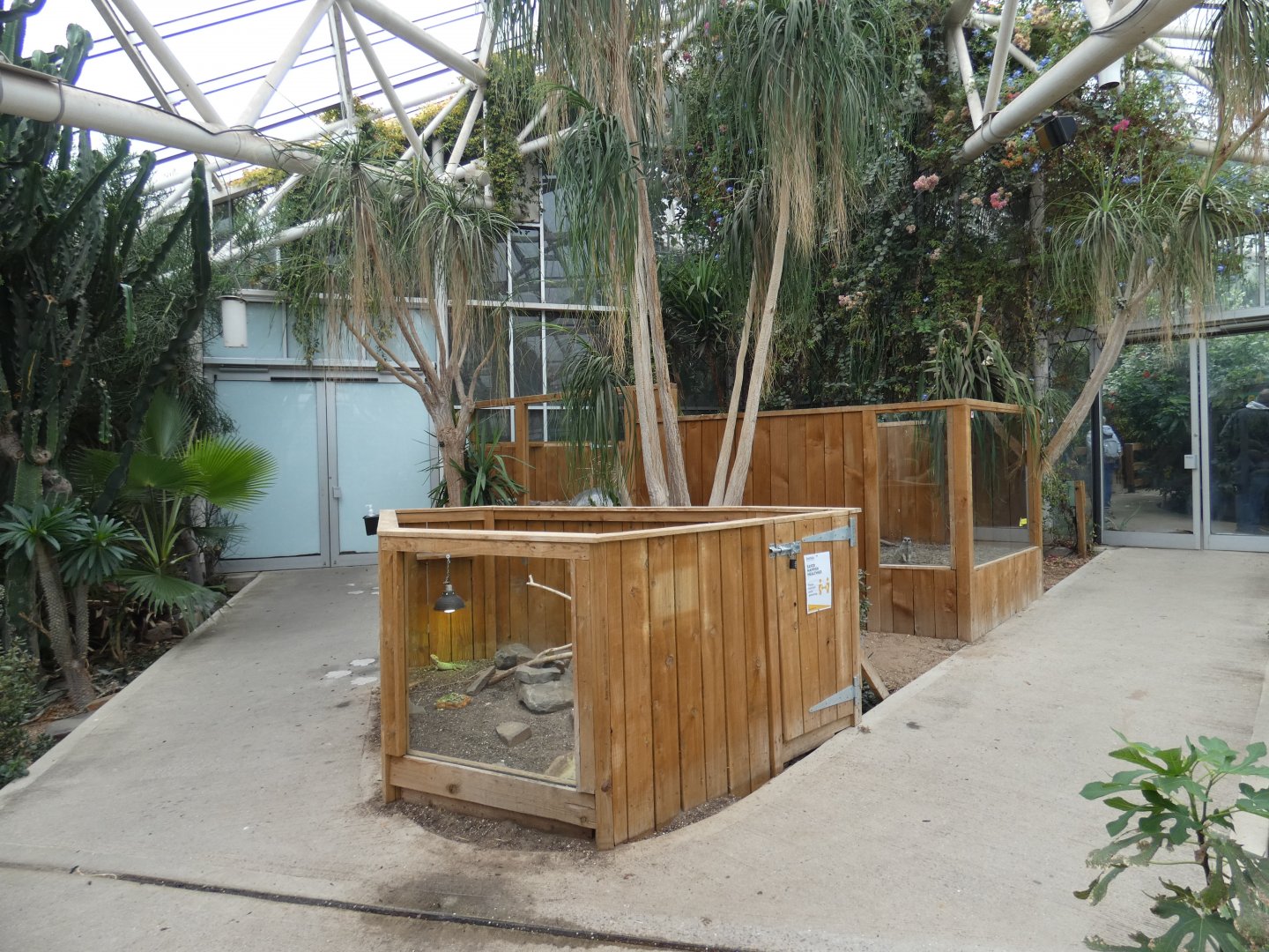 Desert Zone (Plantasia Swansea)