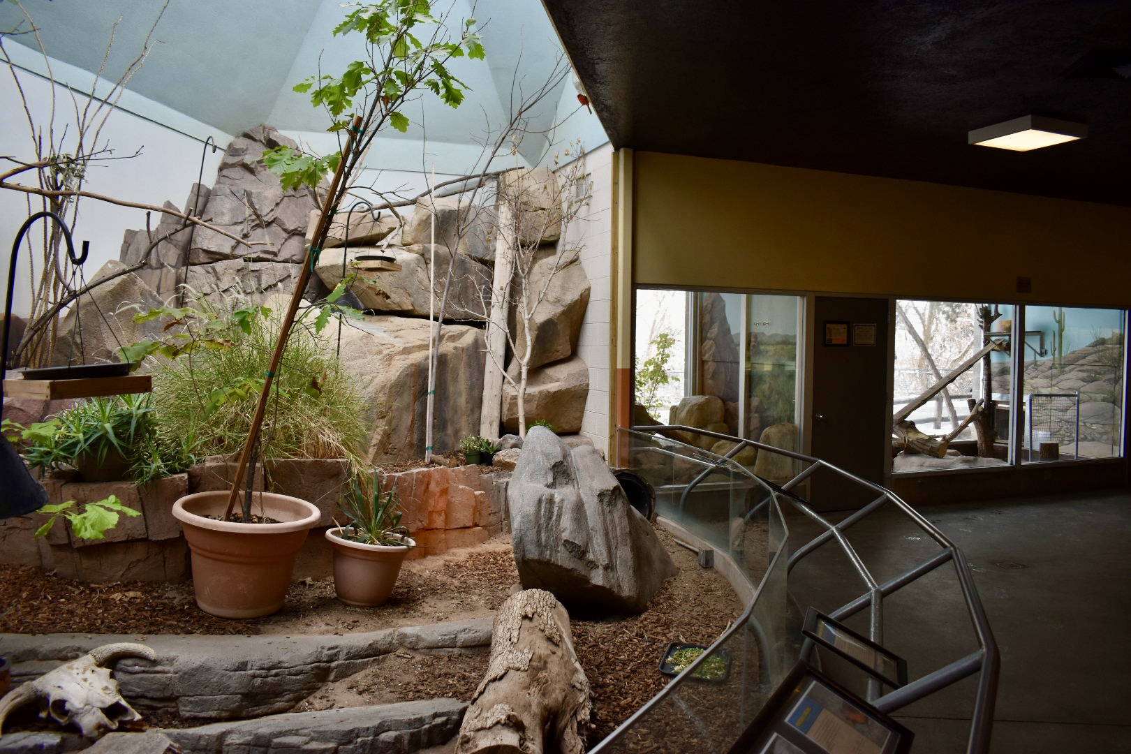 Desert Zone - Small Animal Building