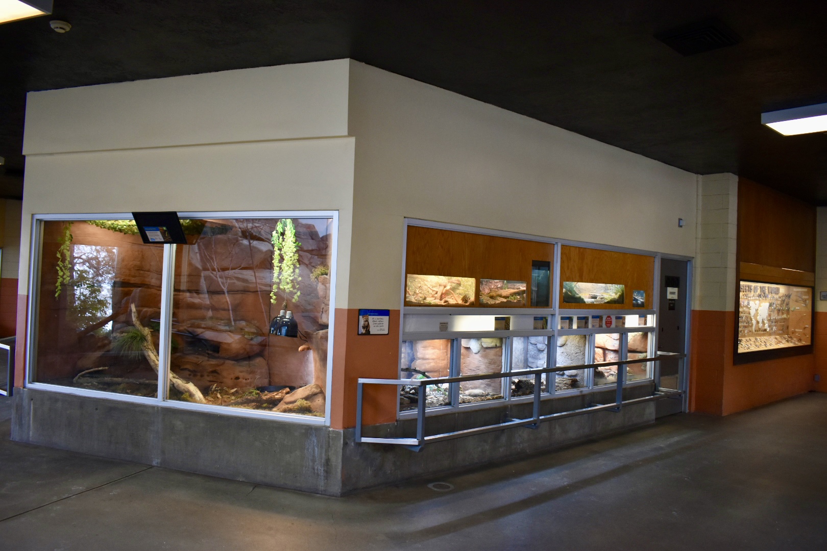 Desert Zone - Small Animal Building