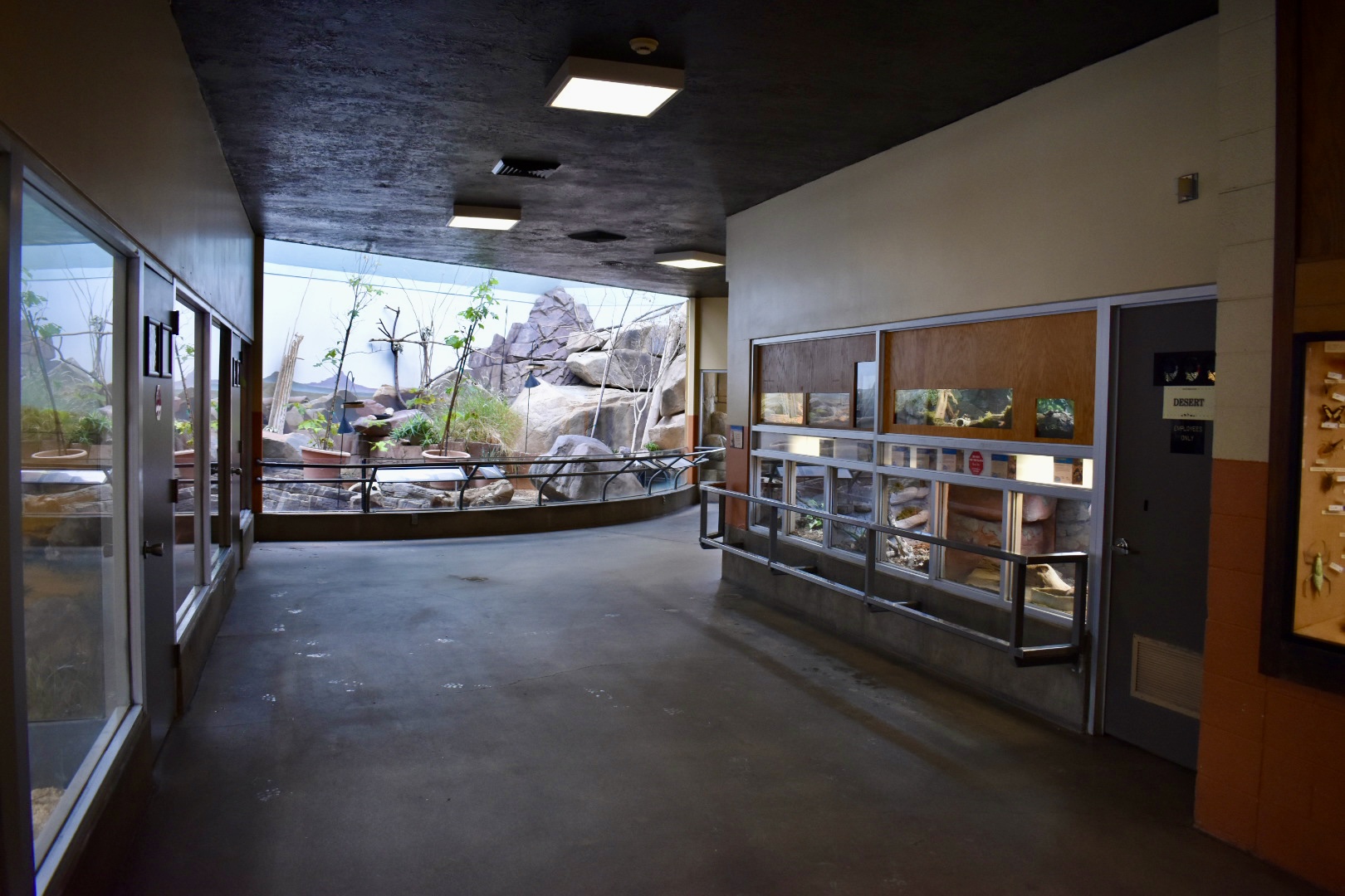 Desert Zone - Small Animal Building