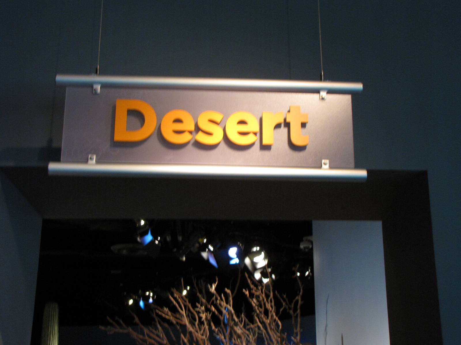 Desert Zone
