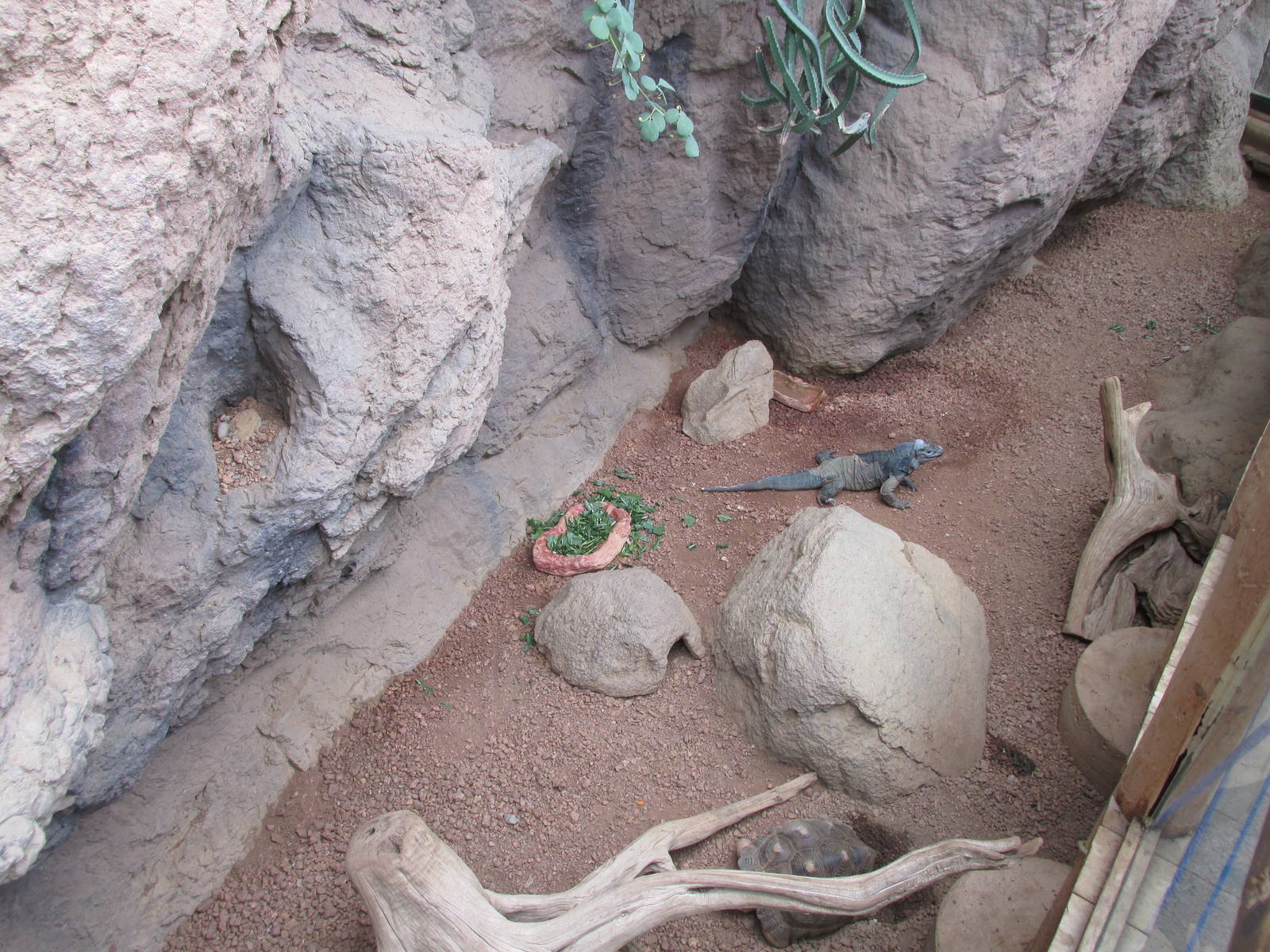 Deserts Building Interior