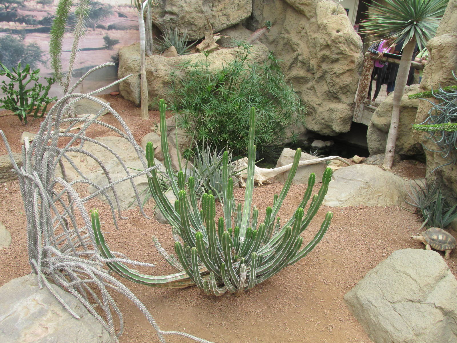Deserts Building Interior