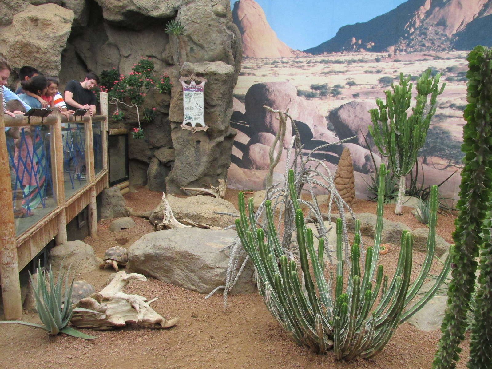 Deserts Building Interior