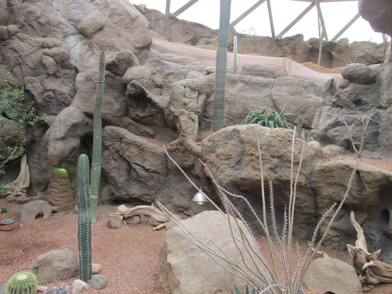 Deserts Building Interior