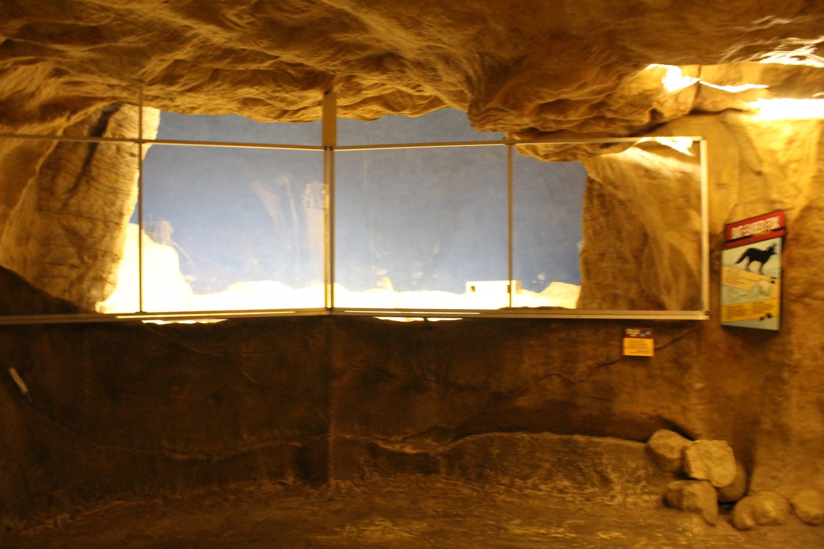 Deserts Edge - Bat-Eared Fox Exhibit