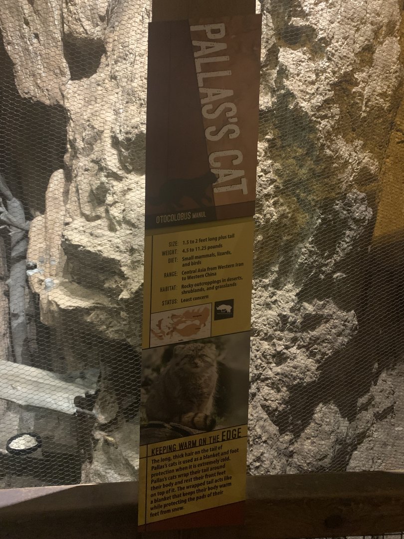 Desert’s Edge - Pallas’s Cat signage