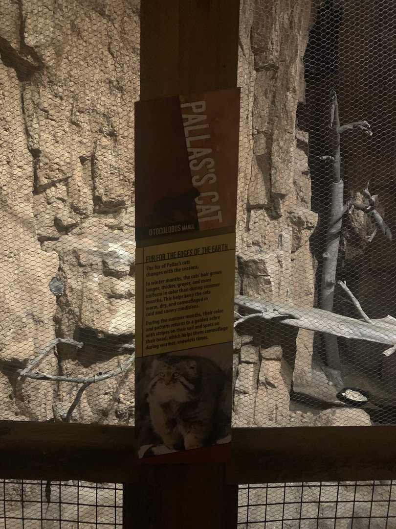 Desert’s Edge - Pallas’s Cat signage