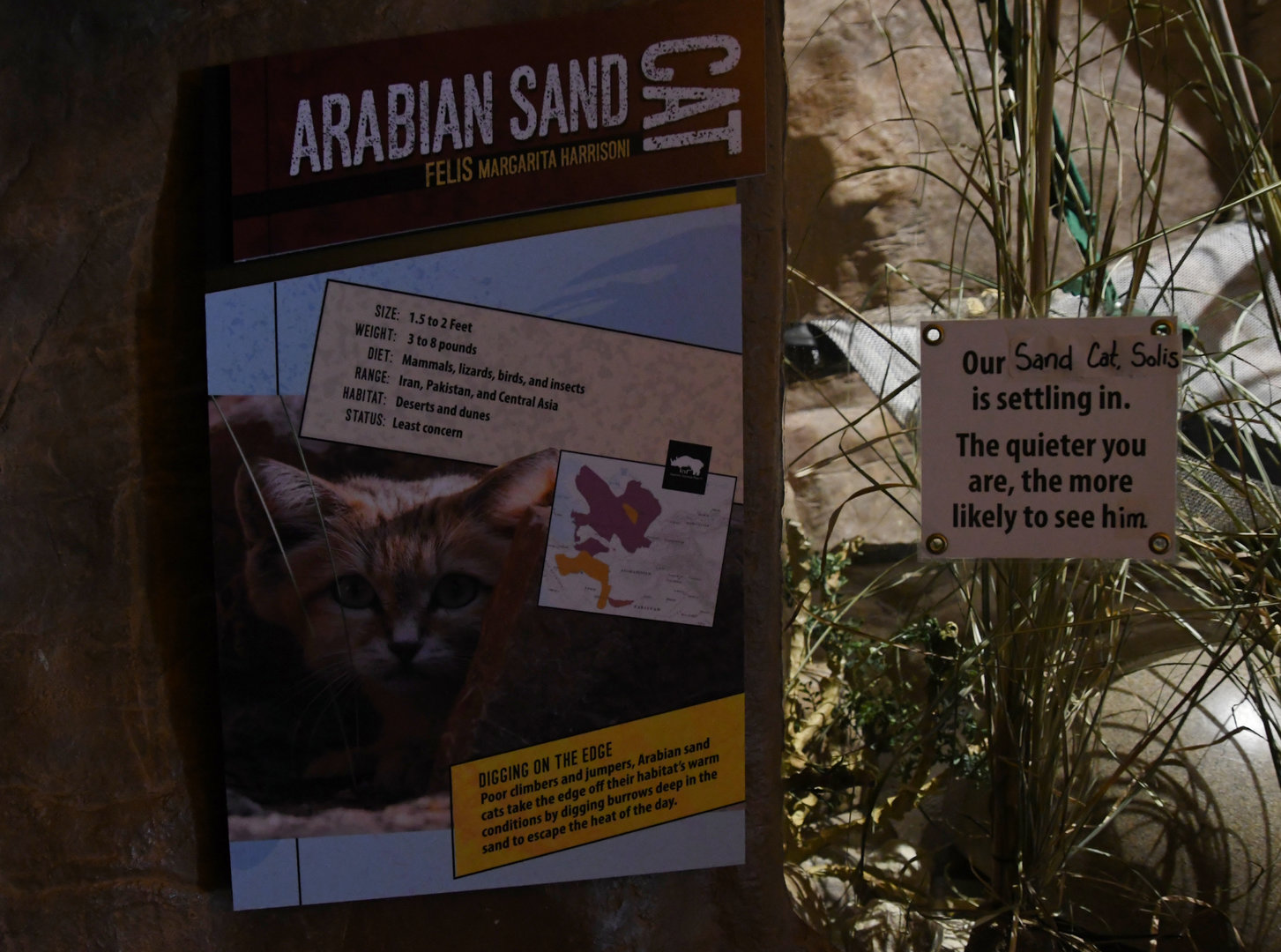 Desert's Edge - Sand cat signage