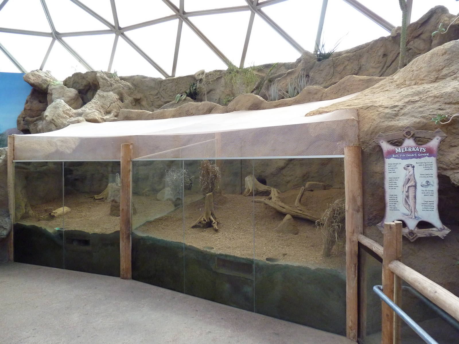 Deserts - Meerkat Exhibit