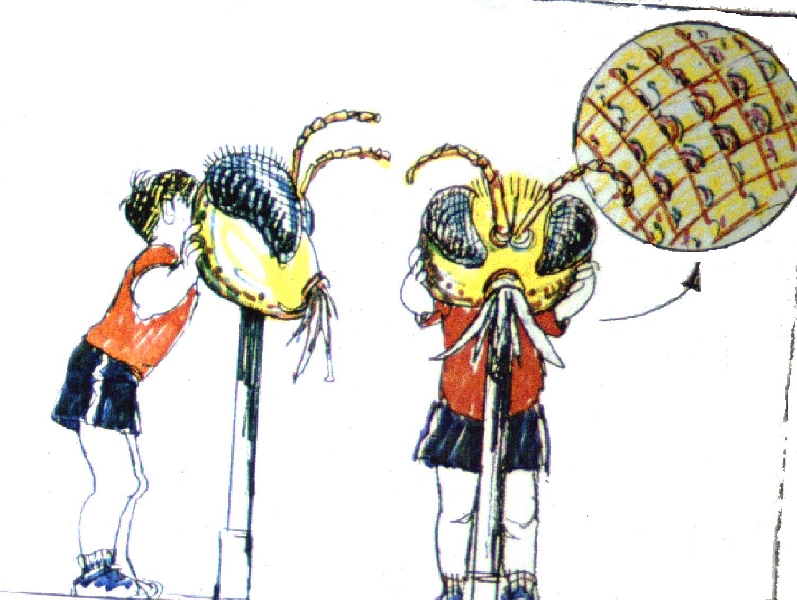 Design Drawing for Adventure Island