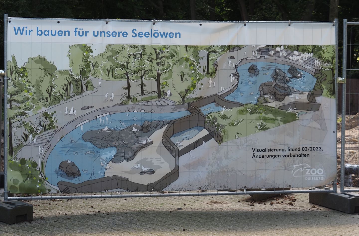 Design for new California sea lion exhibit, 2024-06-08
