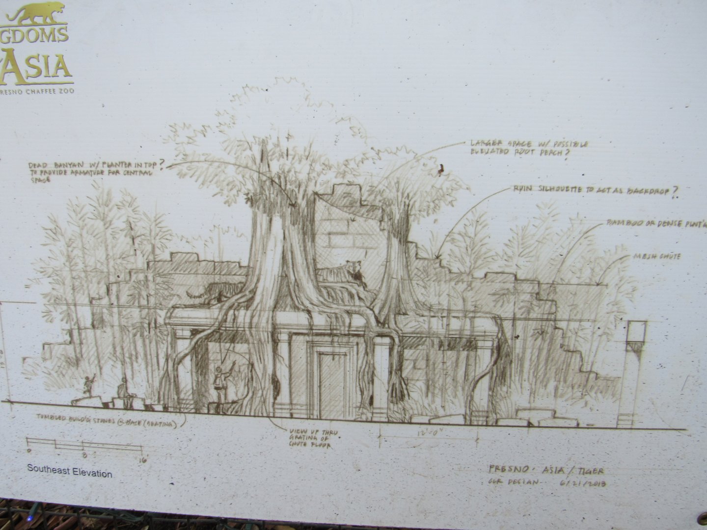 Design for new tiger exhibit