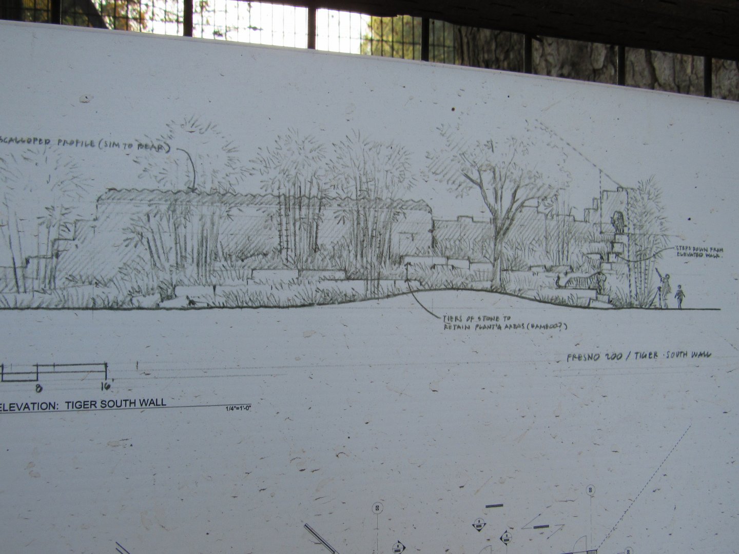 Design for new tiger exhibit