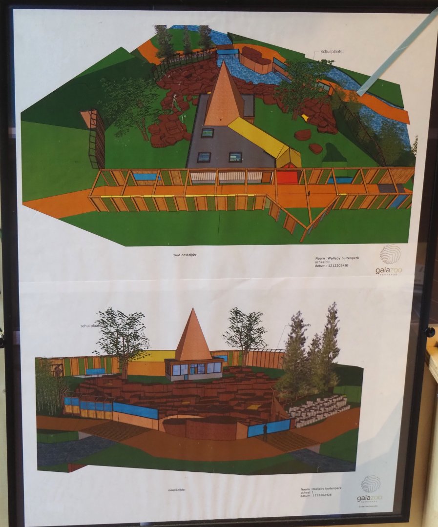 Design for the exhibit for Yellow-footed rock wallabies, 2025-09-30