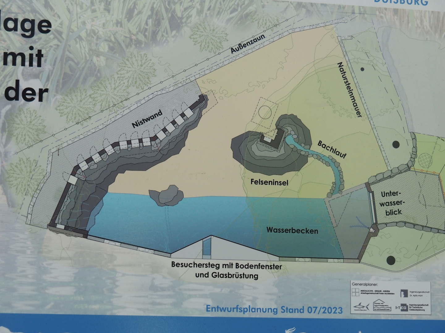 Design for the new African penguin exhibit (Since finished and recently opened), 2024-06-08