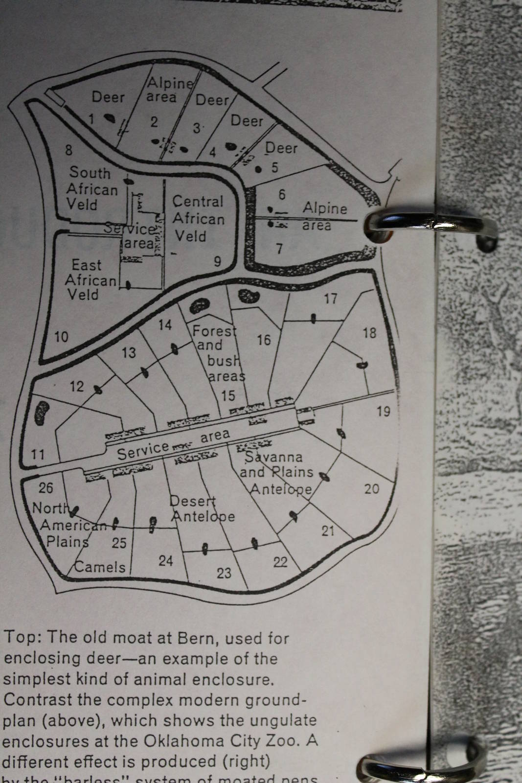 Design for the original hoofstock exhibits