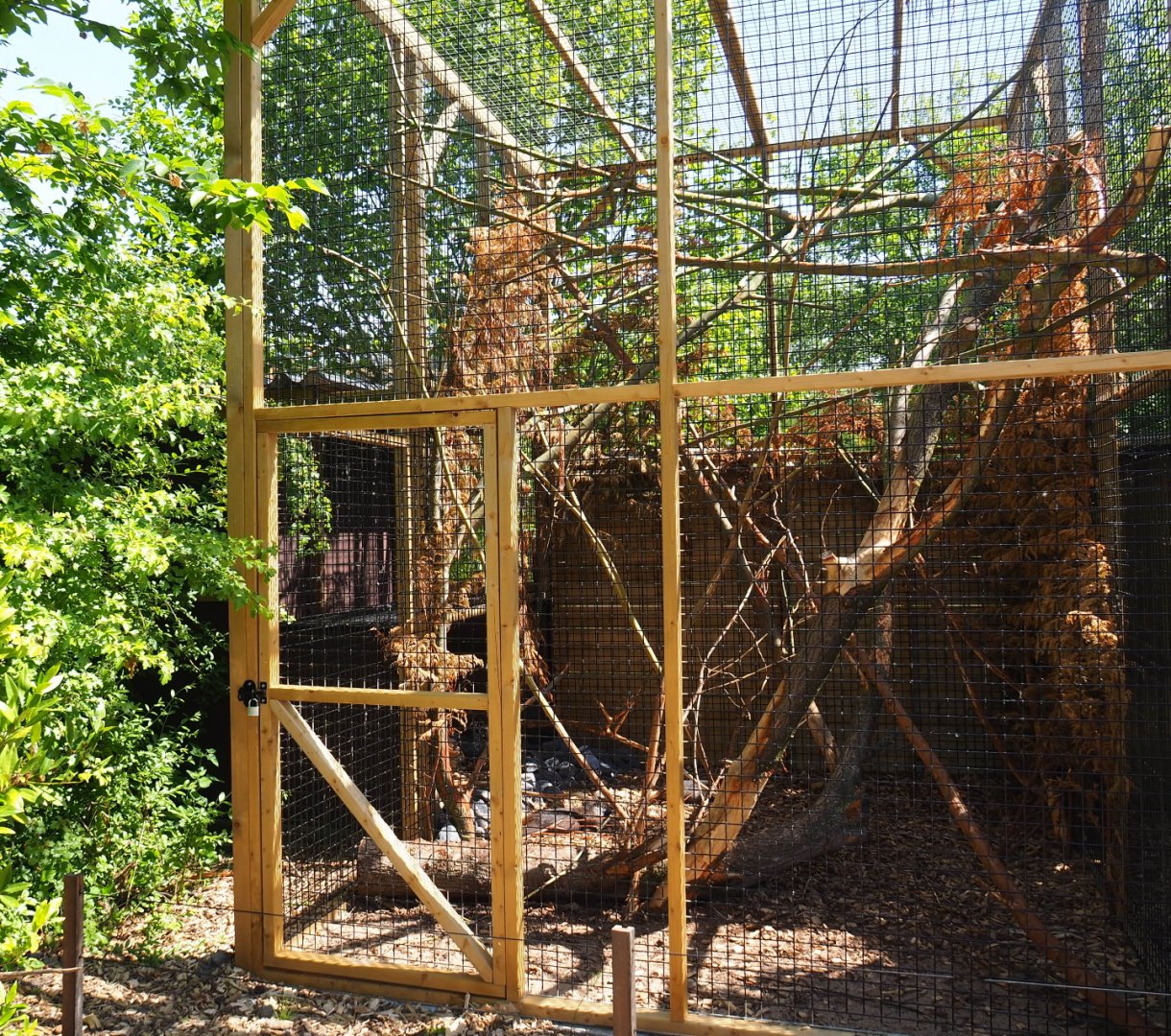 Desmarest's hutia exhibit, 2019-06-01