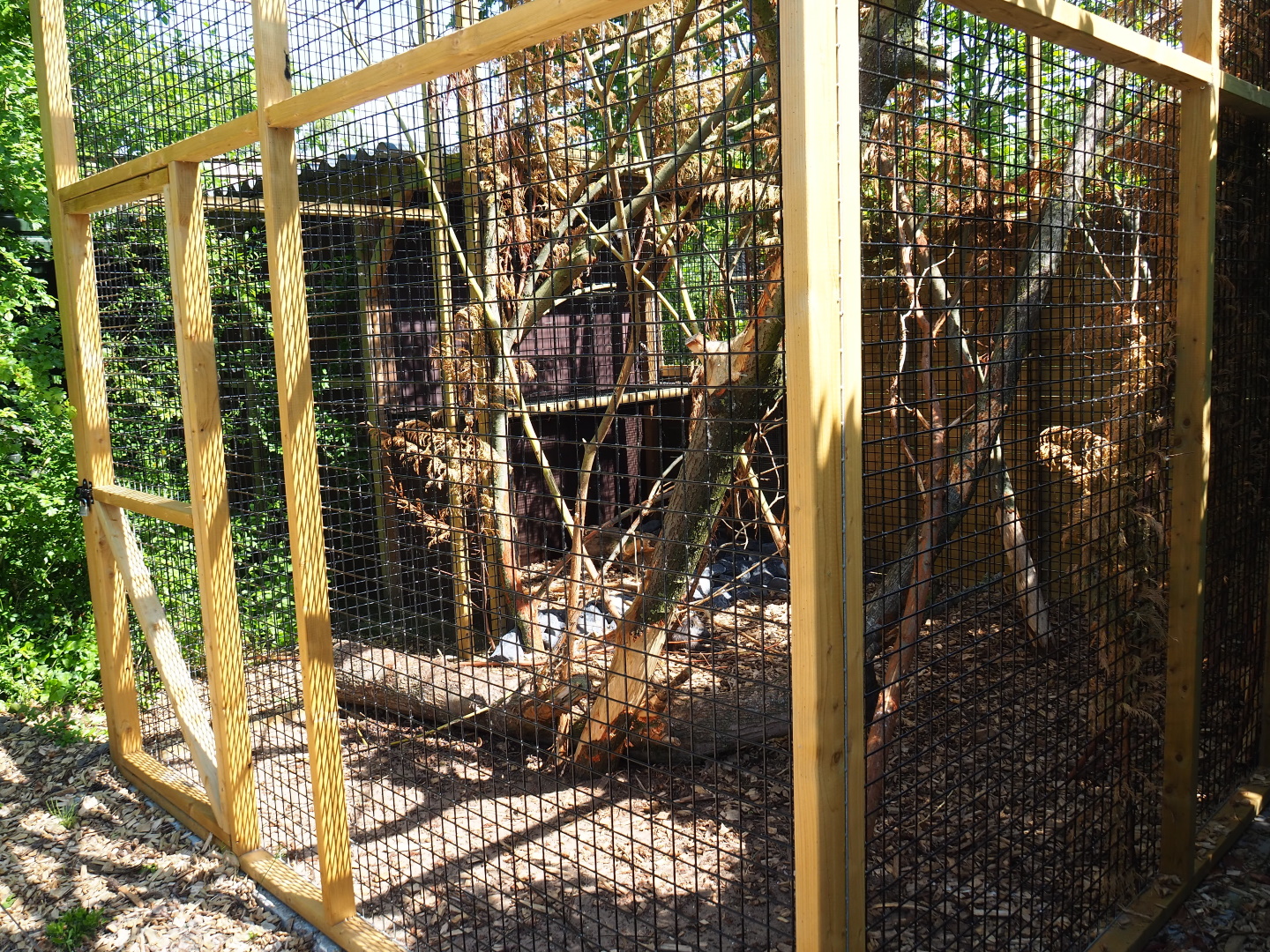 Desmarest's hutia exhibit, 2019-06-01