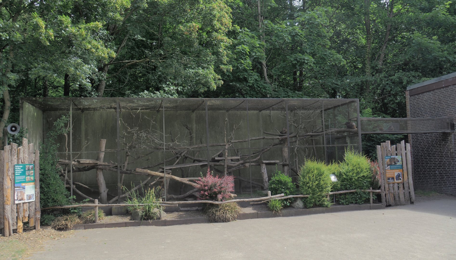 Desmarest's hutia exhibit, 2025-05-22